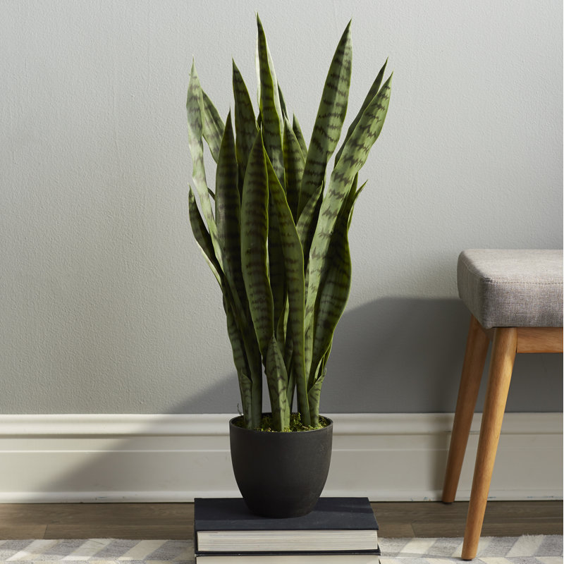 Beachcrest Home Sycamore Faux Sansevieria Floor Plant in Pot & Reviews
